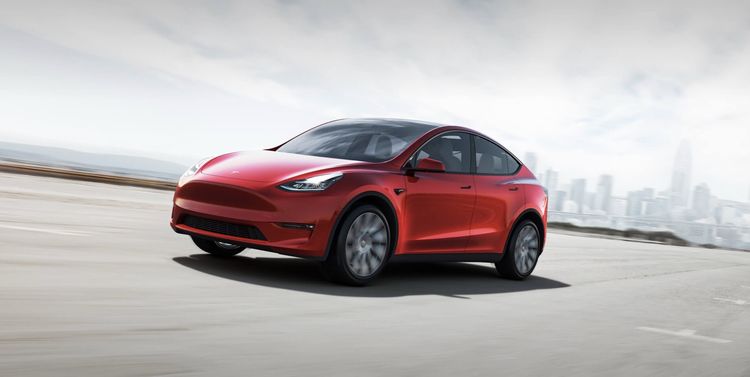 model y